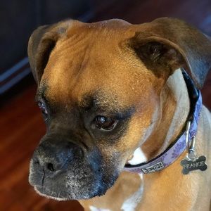 Meet your Posher, Marni